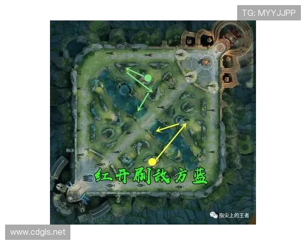 Canyon打野核心节奏解析助力团队实现全方位制胜策略